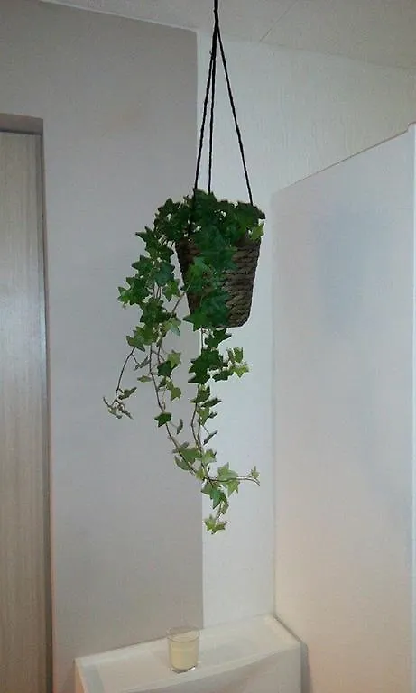 Apartment Appartamenti Della Rotonda Catania
